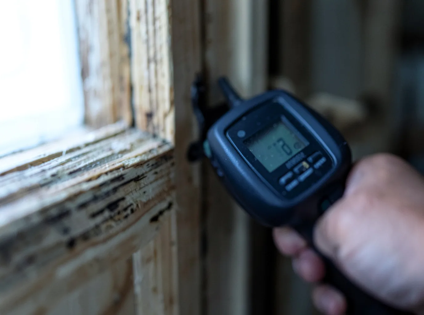 Moisture Inspection And Documentation in Vernon, CO